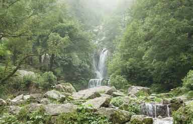 Panchpula, Dalhousie