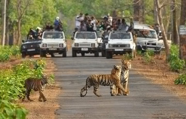 Sariska National Park