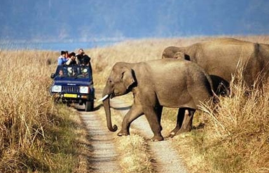 Sariska National Park