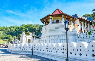 Sri lanka Tour
