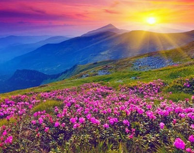 Valley of Flowers - Hemkund Sahib